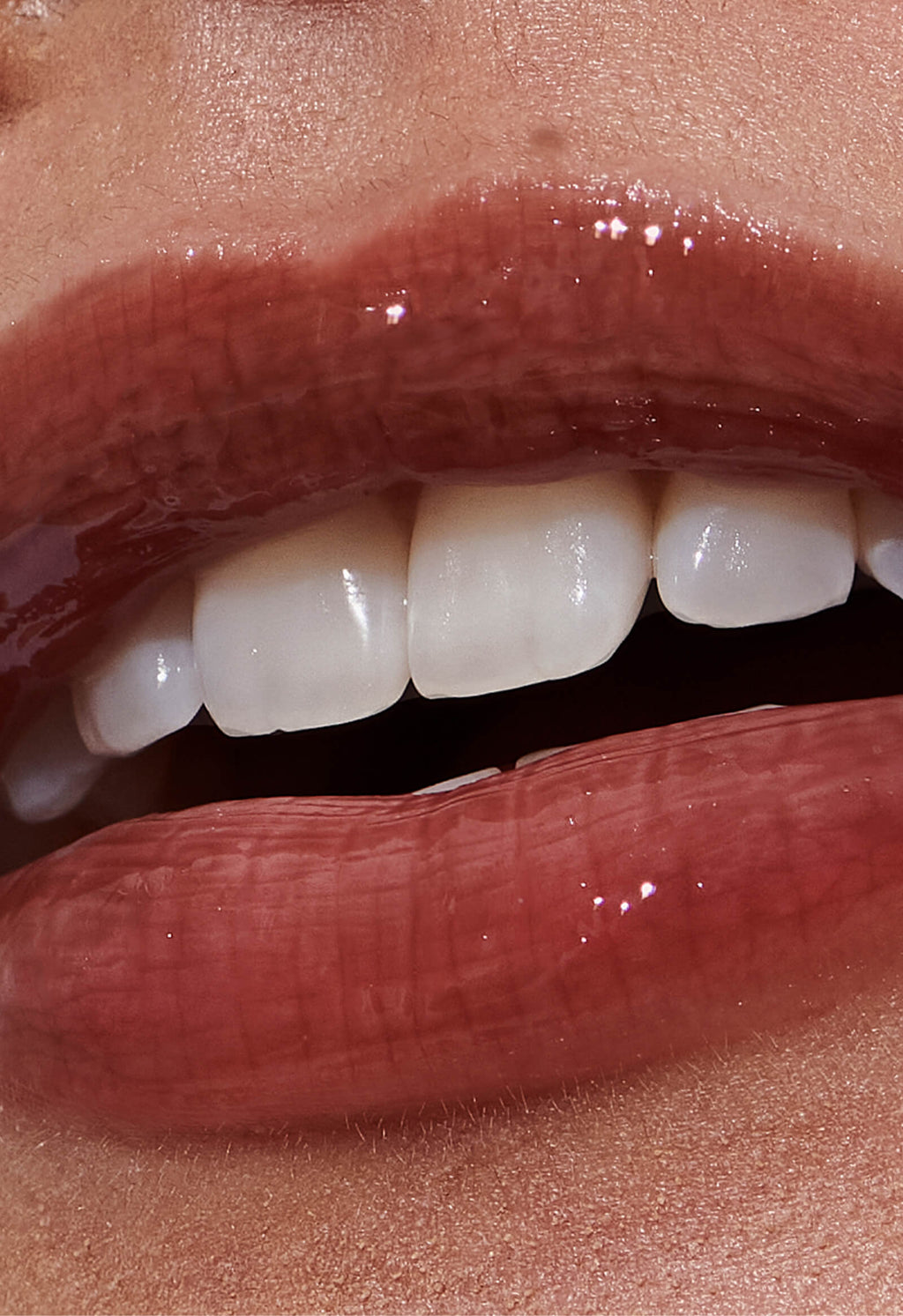 the duos toasted teddy + espresso